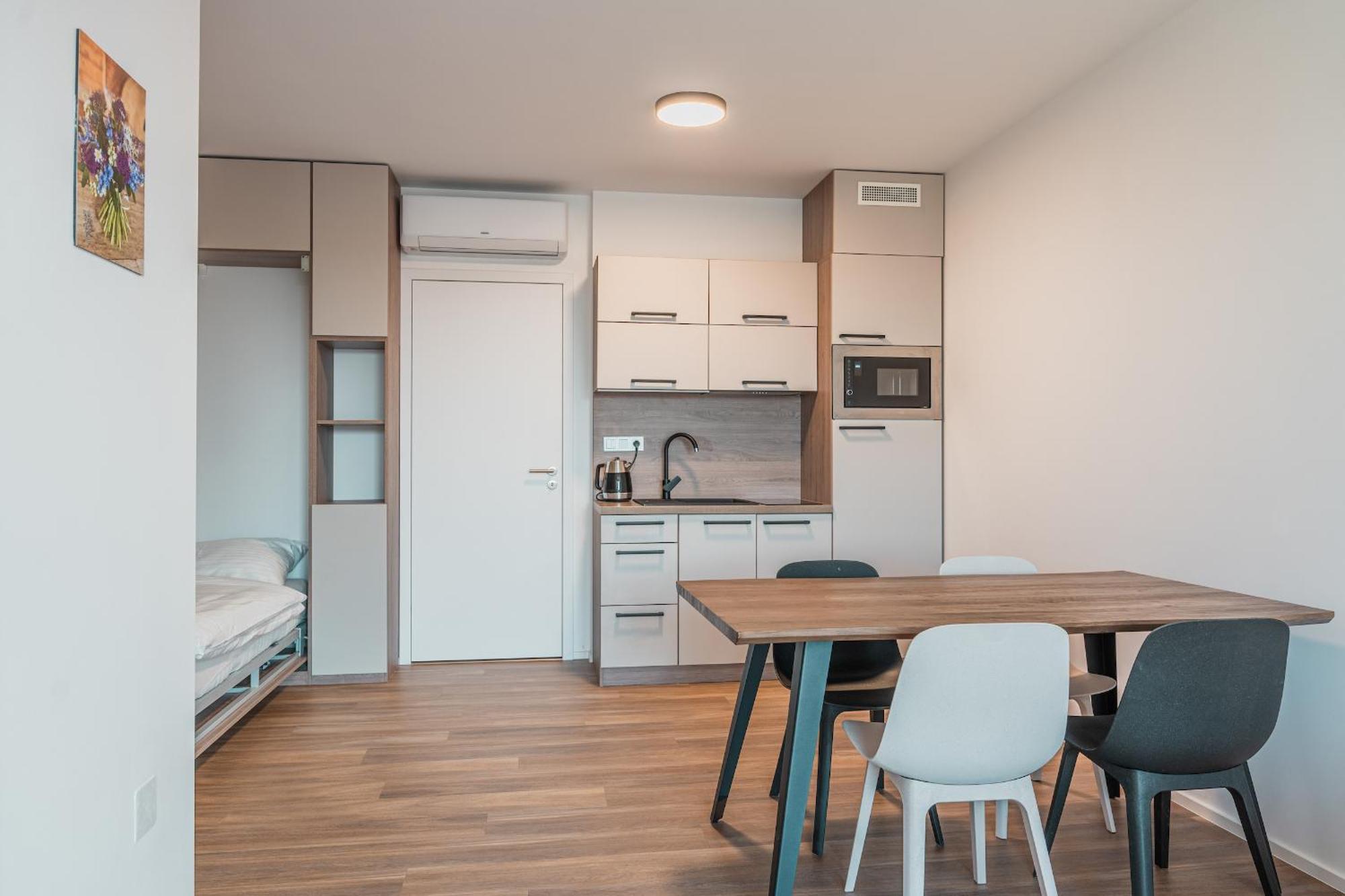 Apartment Muslovske Vinohrady *