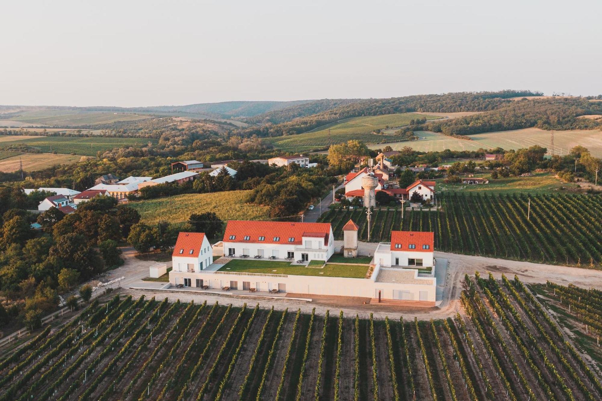 Muslovske Vinohrady * Mikulov