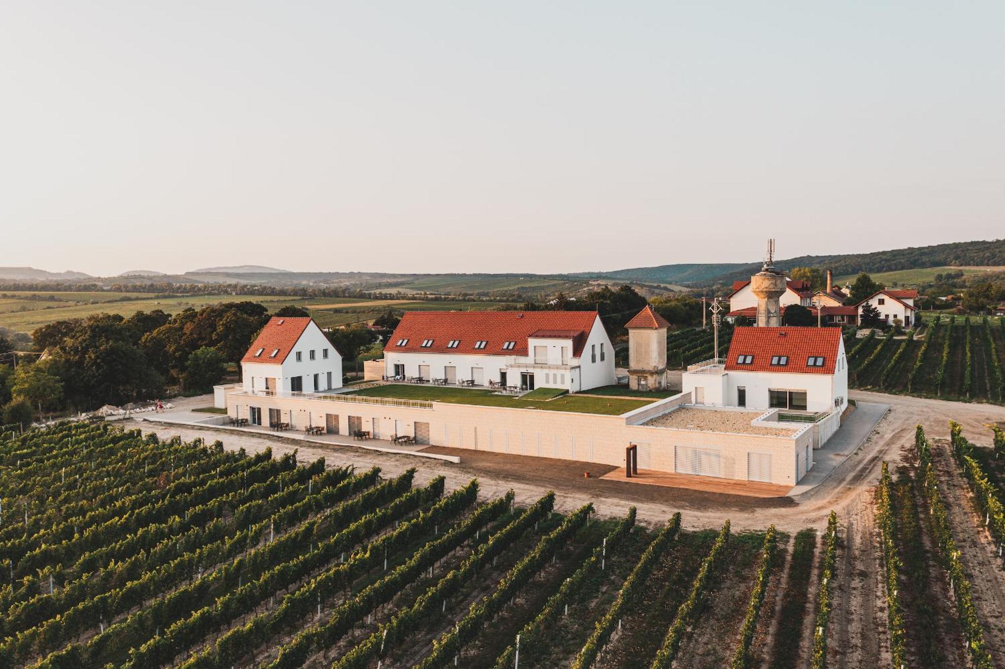 Muslovske Vinohrady Apartment Mikulov